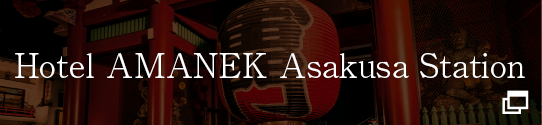 Hotel AMANEK Asakusa Station