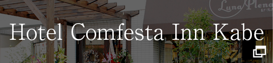 Hotel Comfesta Inn Kabe