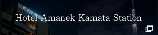 Hotel AMANEK Kamata Station